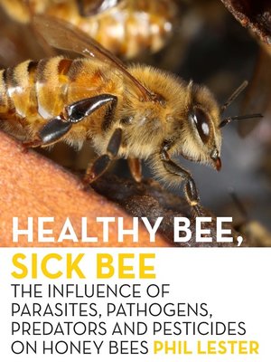 cover image of Healthy Bee, Sick Bee